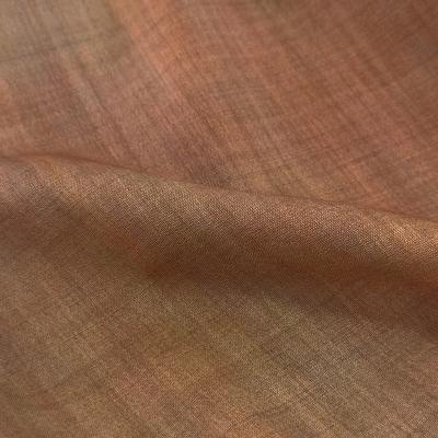 SHINYAKOZUKA [ SOURTHERN CLERK ] ORANGE-ISH