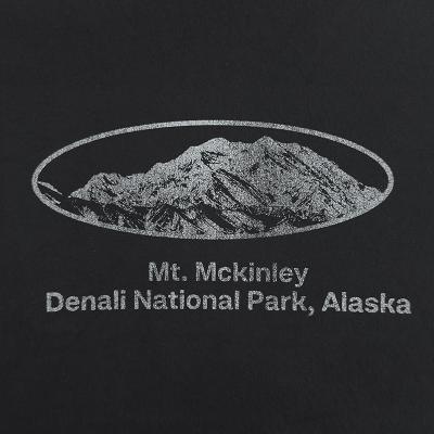 ESSAY [ PIGMENT DROPSHOULDER T-SHIRT (TS-5) ] MT MCKINLEY