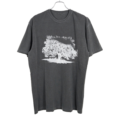 ESSAY [ PIGMENT S/S TEE (TS-5) ] CHARCOAL