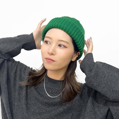 crepuscule [ Knit Cap 1 ]