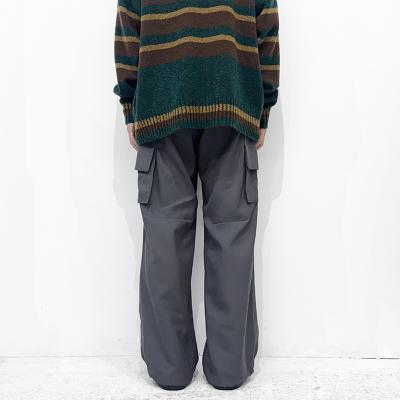 MATSUFUJI [ Water-repellent Wool Wide Cargo Trousers ] GRAY