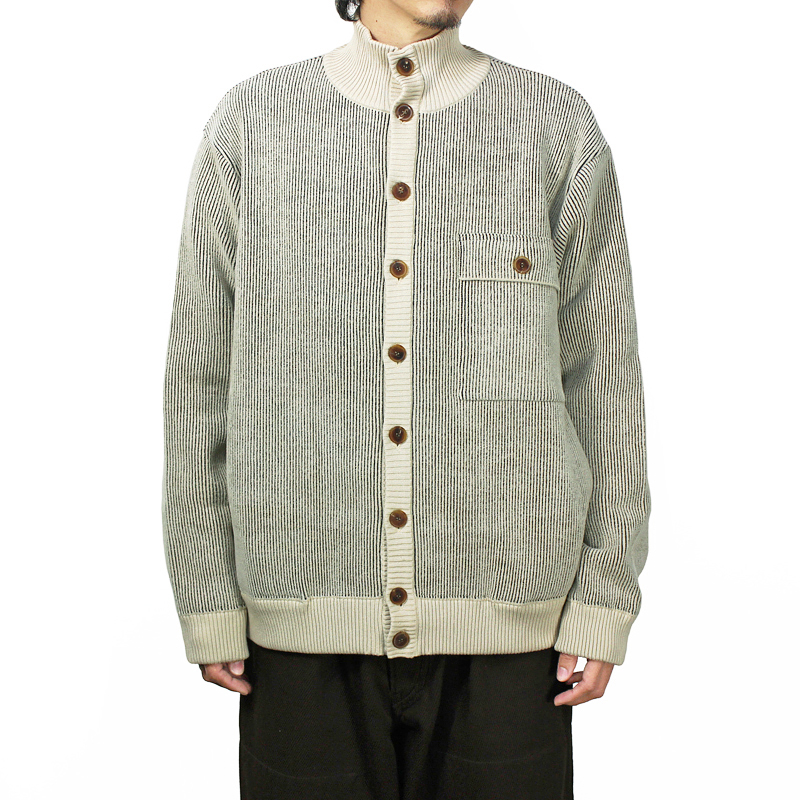 Spinal cord function and structure image